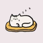 12 Cute & Easy Cat Drawing Ideas