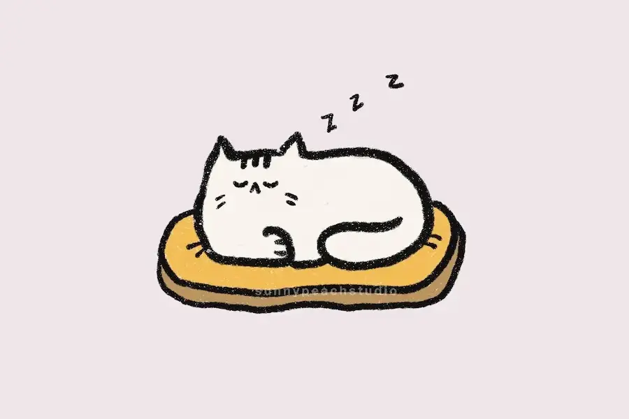 12 Cute & Easy Cat Drawing Ideas